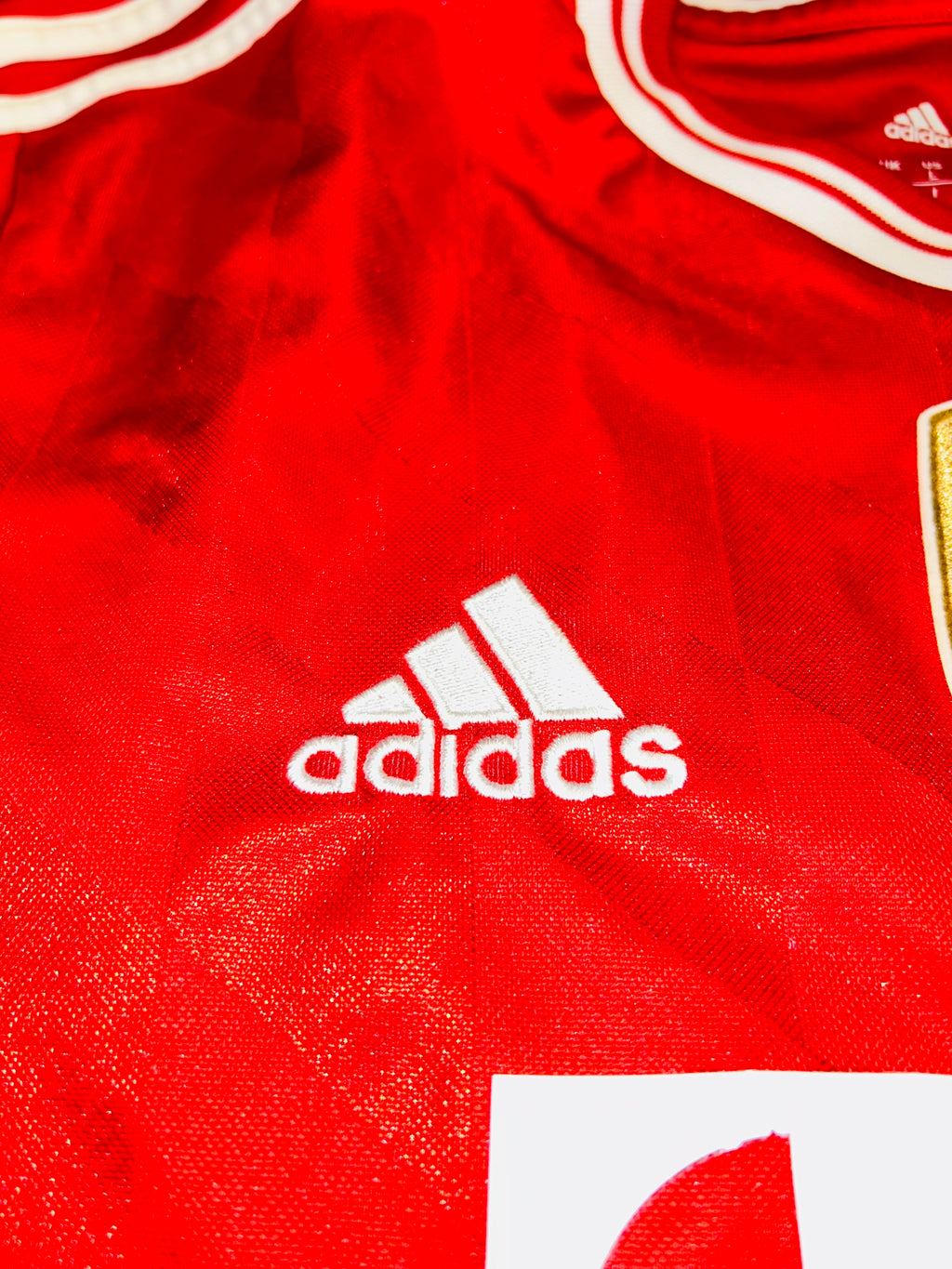 FC Bayern München Trikot 2013/2014 L #9 Mario Mandzukic
