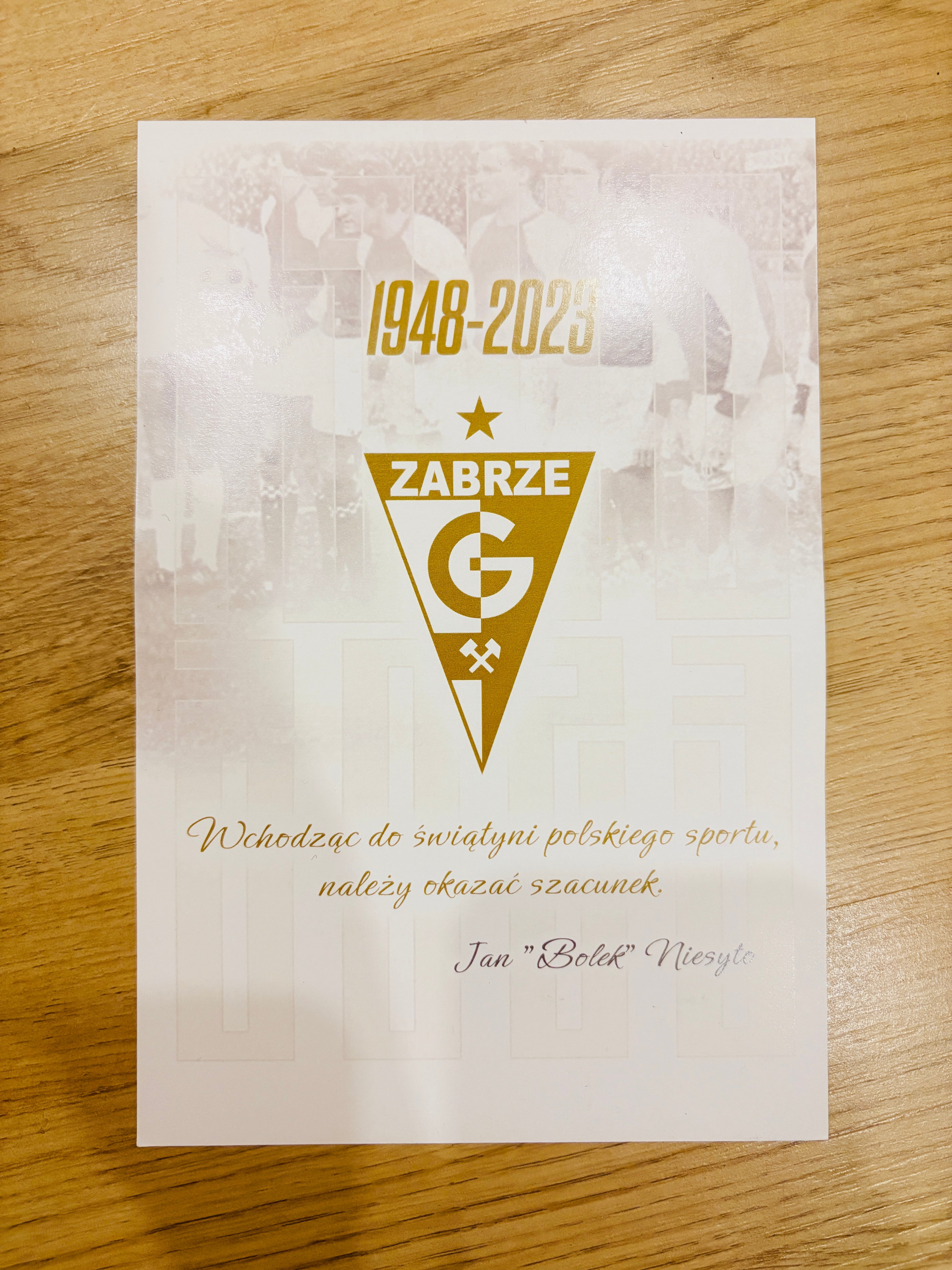Gornik Zabrze Sondertrikot/Trikot 2023/2024 L mit Verpackung