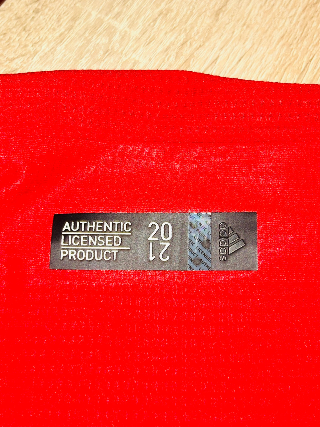 FC Bayern München Trikot 2020/2021 M #19 Alphonso Davies