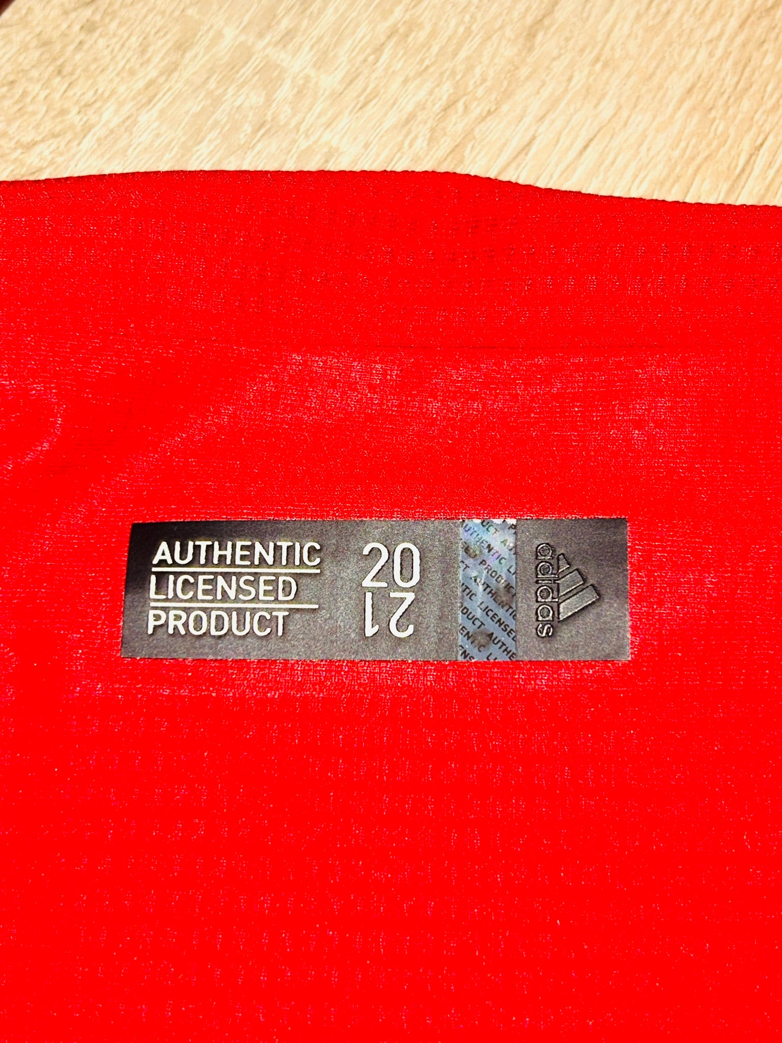 FC Bayern München Trikot 2020/2021 M #19 Alphonso Davies