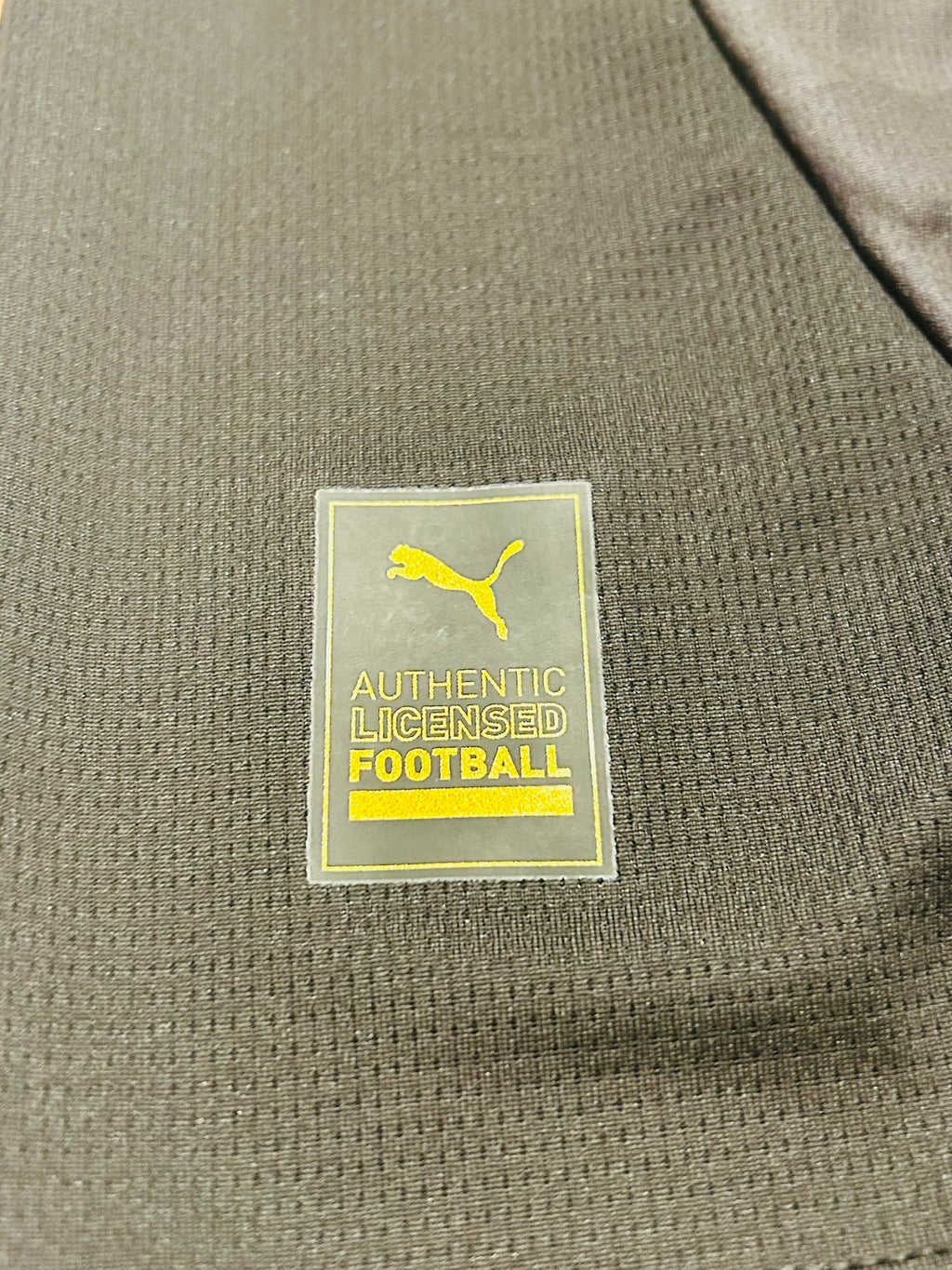 Borussia Dortmund/BVB Trikot 2024/2025 XL #20 Marcel Sabitzer