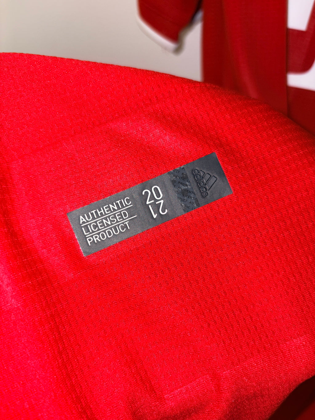 FC Bayern München Heim Trikot 2020/2021 M #19 Alphonso Davies