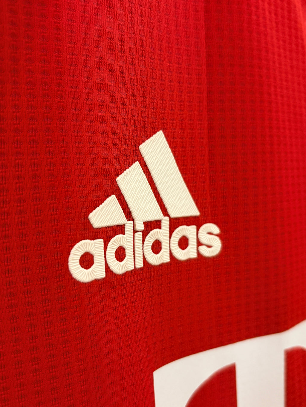 FC Bayern München Heim Trikot 2020/2021 M #19 Alphonso Davies