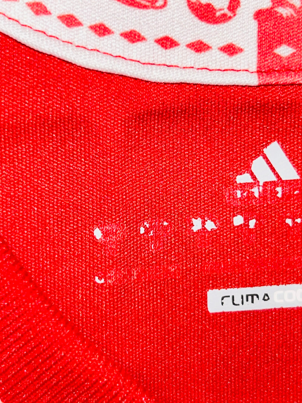 FC Bayern München Trikot 2010/2011 M #10 Arjen Robben