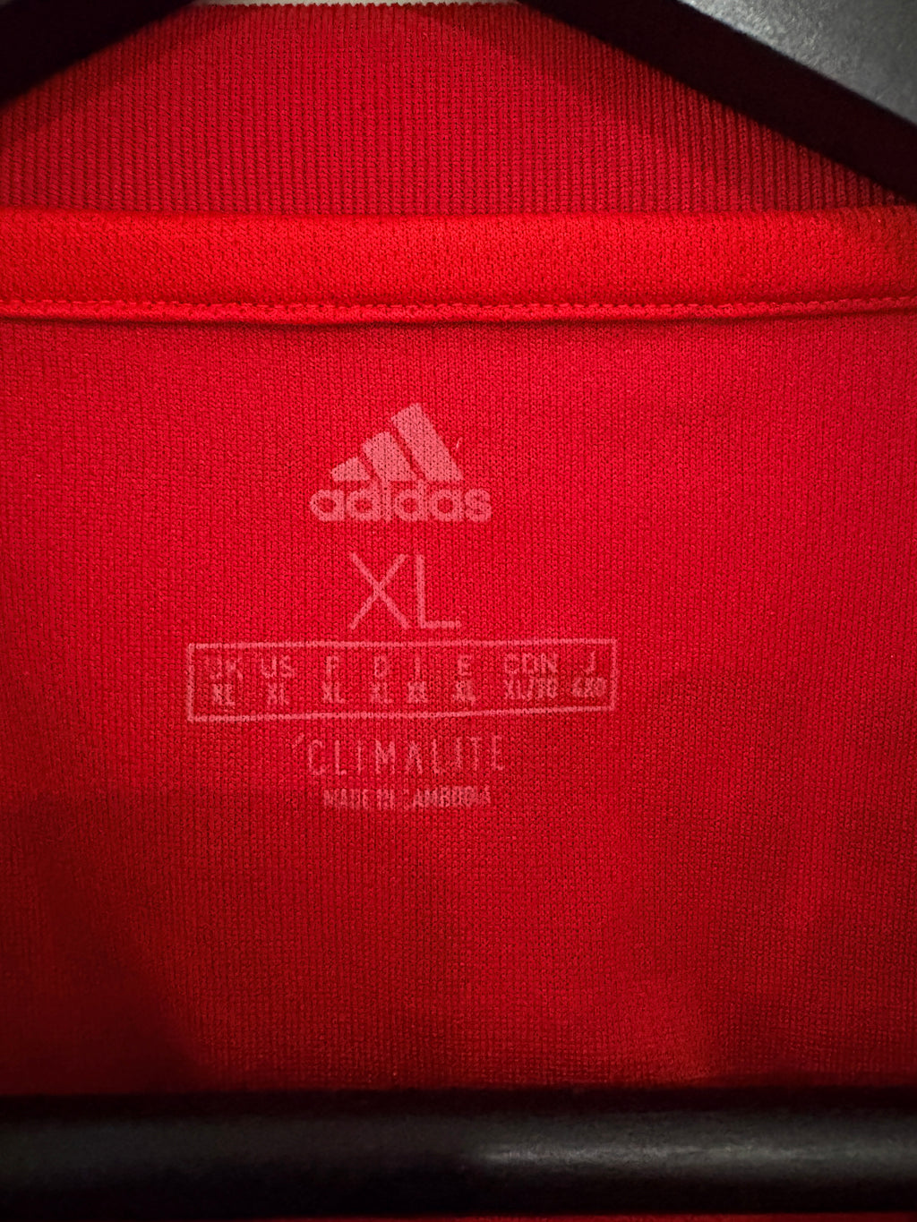 FC Bayern München Trikot 2019/2020 XL #19 Alphonso Davies