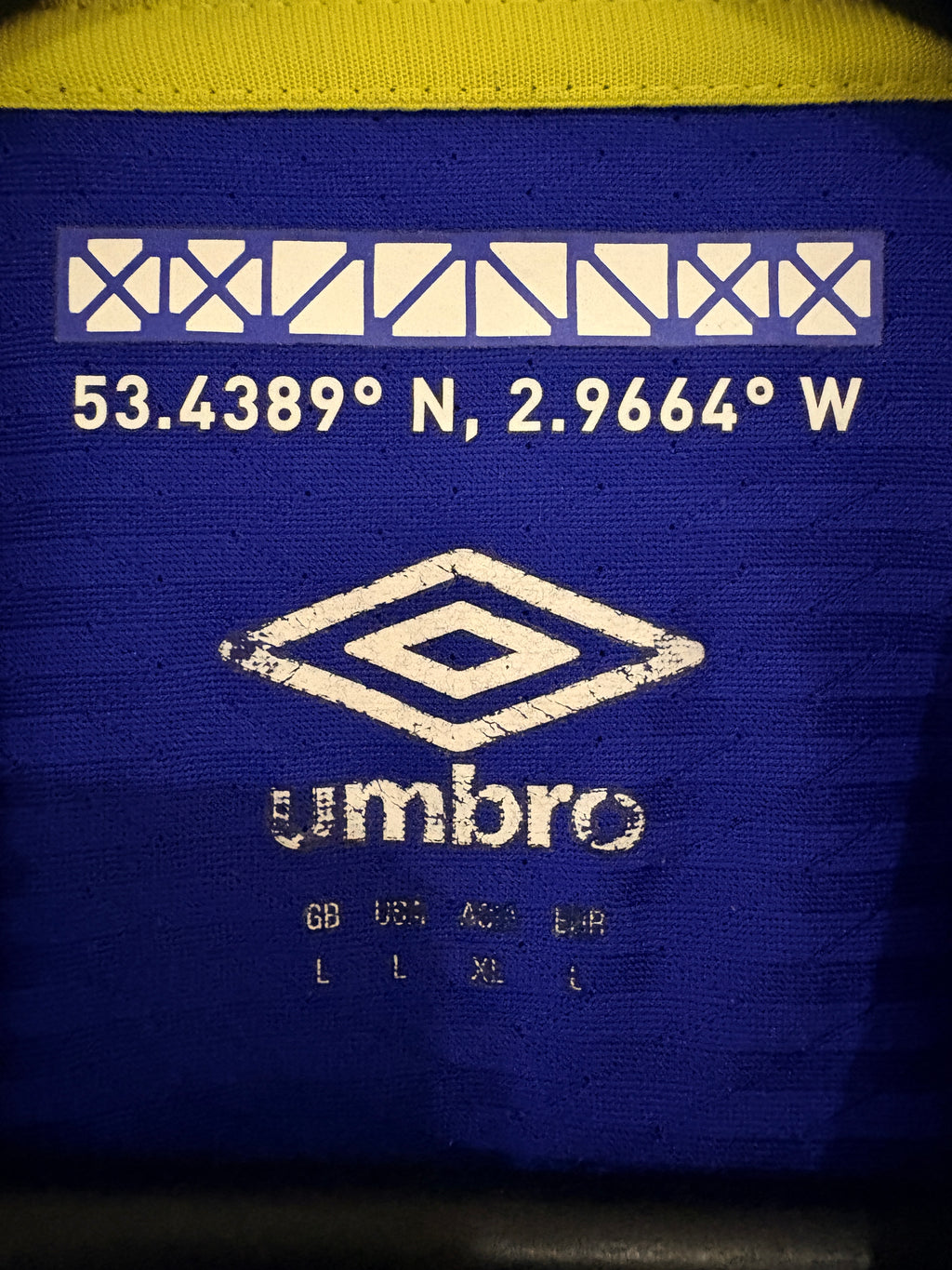 FC Everton Trikot 2016/2017 L #10 Romelu Lukaku