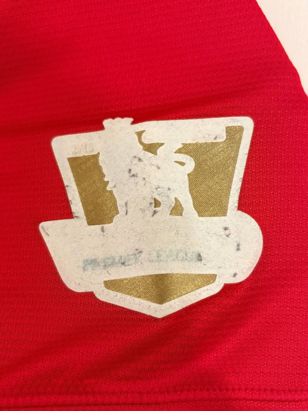 Manchester United Trikot 2013/2014 XL #19 Danny Welbeck